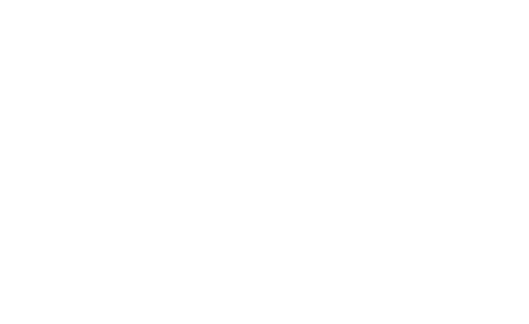 EmiratesSkills